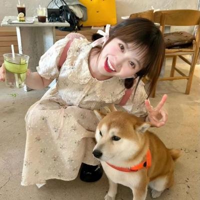 江湖龙女 海报